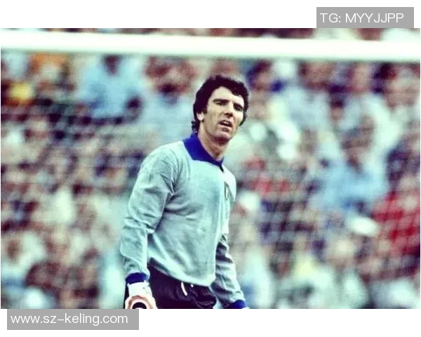 英俊又技艺高超的足球球星们 他们如何在绿茵场上创造传奇 英俊又技艺高超的足球球星们 他们如何在绿茵场上创造传奇