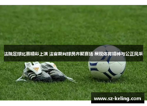 法院足球比赛精彩上演 法官裁判球员齐聚赛场 展现体育精神与公正风采